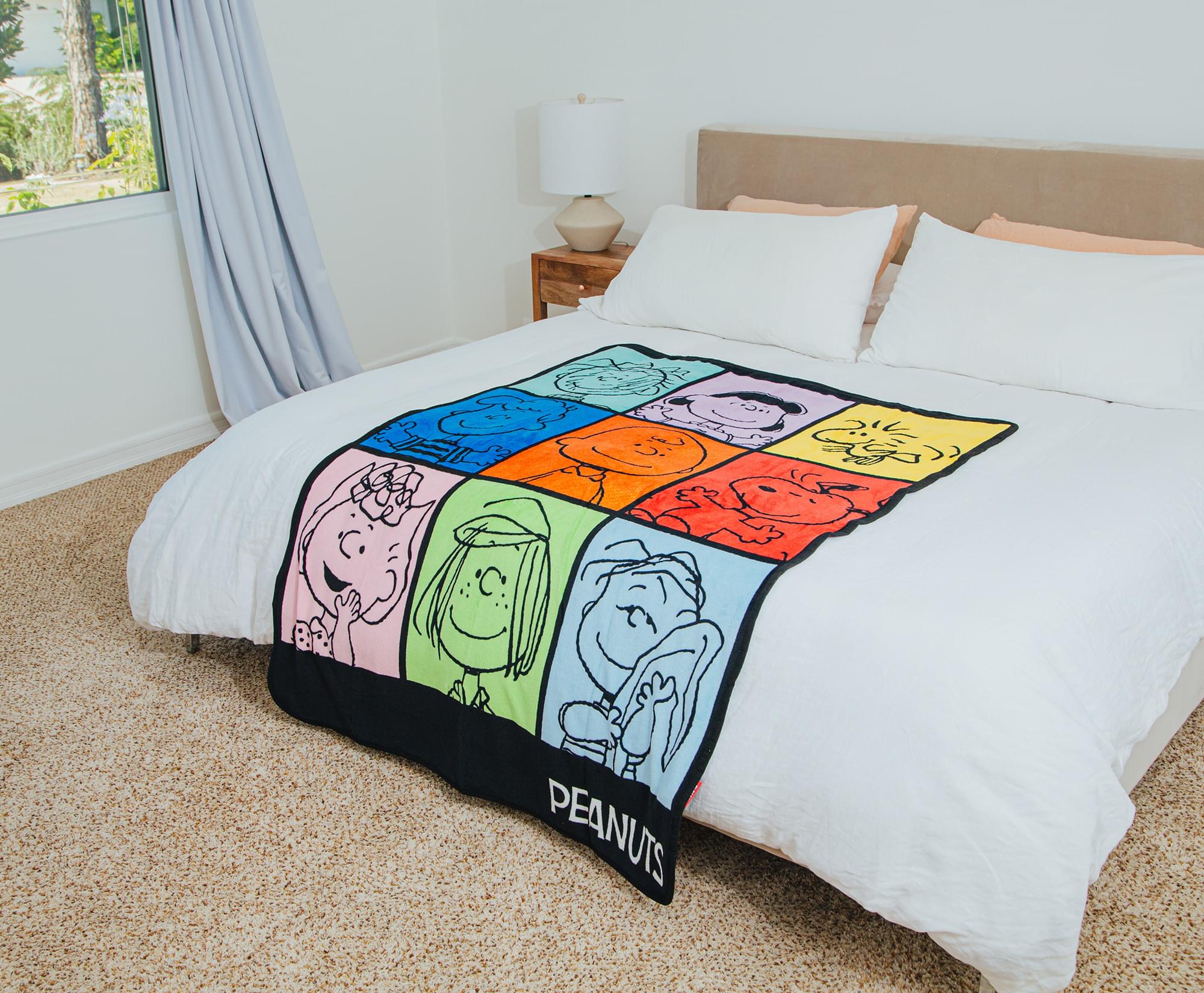Charming Peanuts Multicolor Character Grid Fleece Throw - 45 x 60 Inches