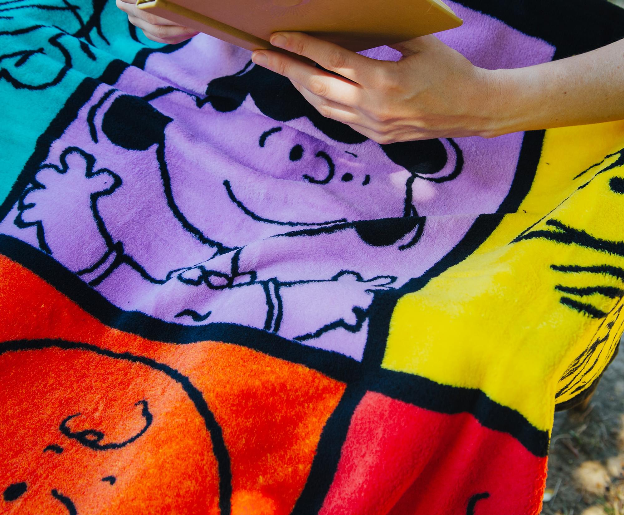Charming Peanuts Multicolor Character Grid Fleece Throw - 45 x 60 Inches