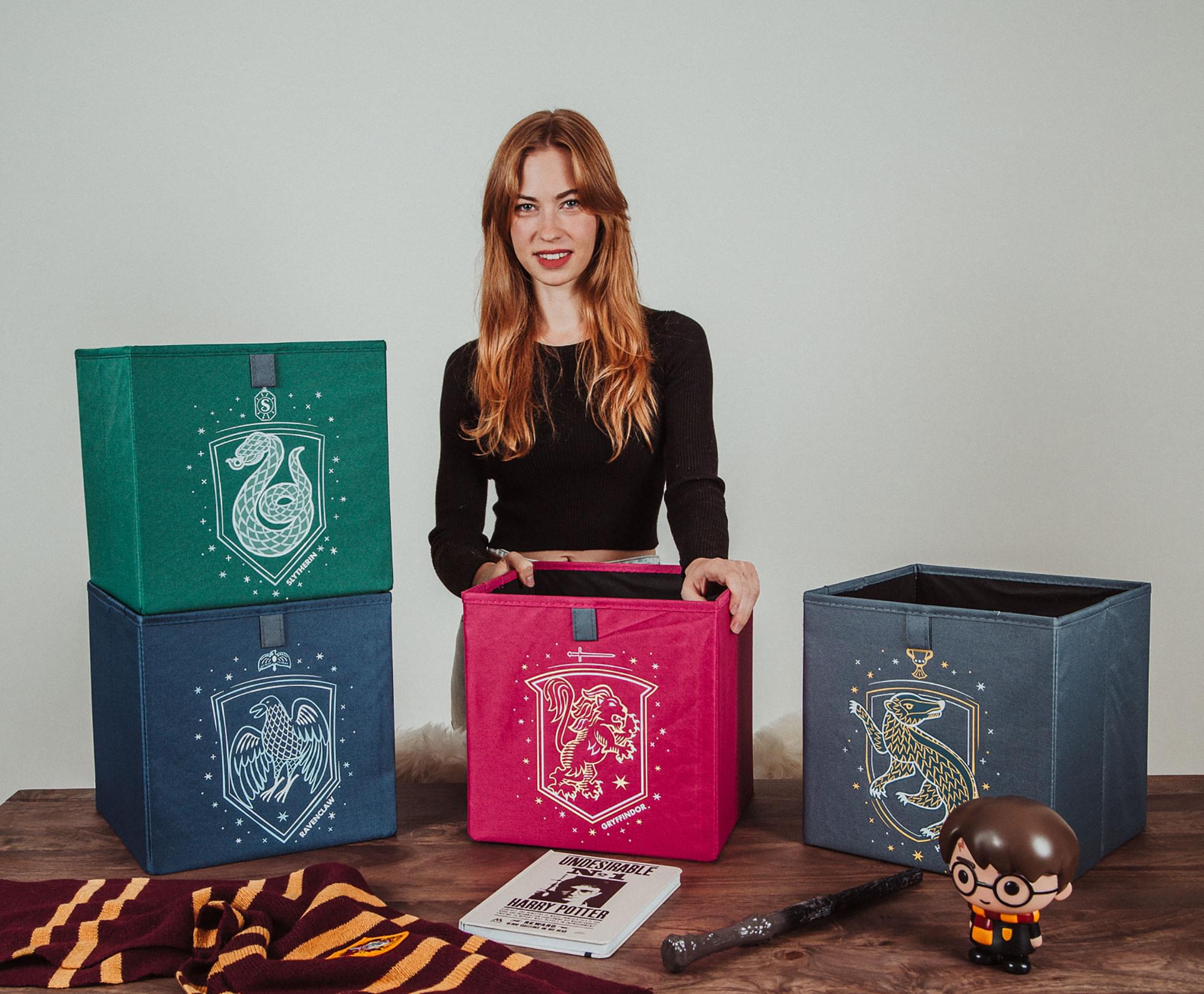 4-Pack Harry Potter Hogwarts Houses 11-Inch Magic Storage Bin Cubes