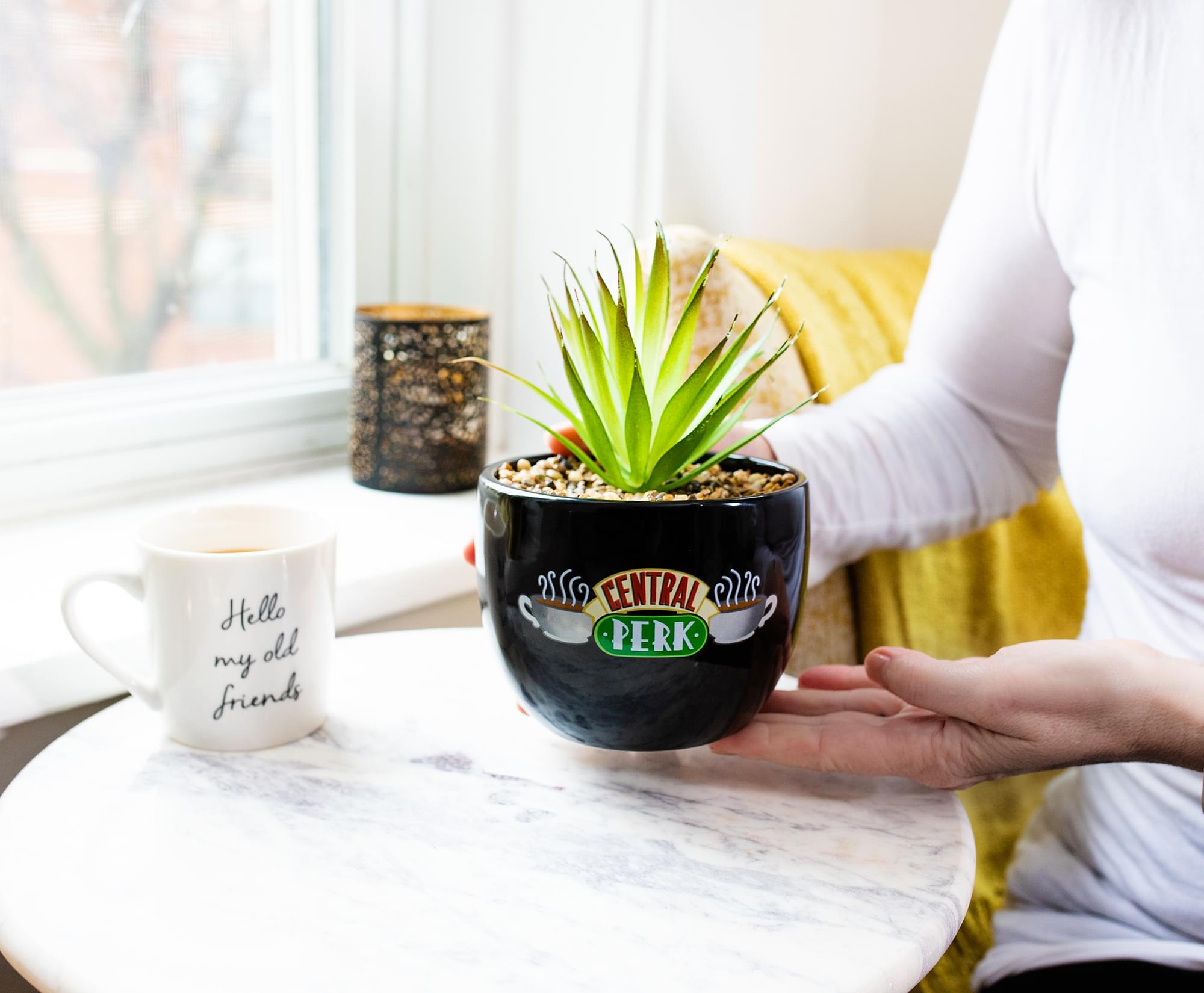 Friends Central Perk Large Ceramic Planter - A Must-Have for Fans!