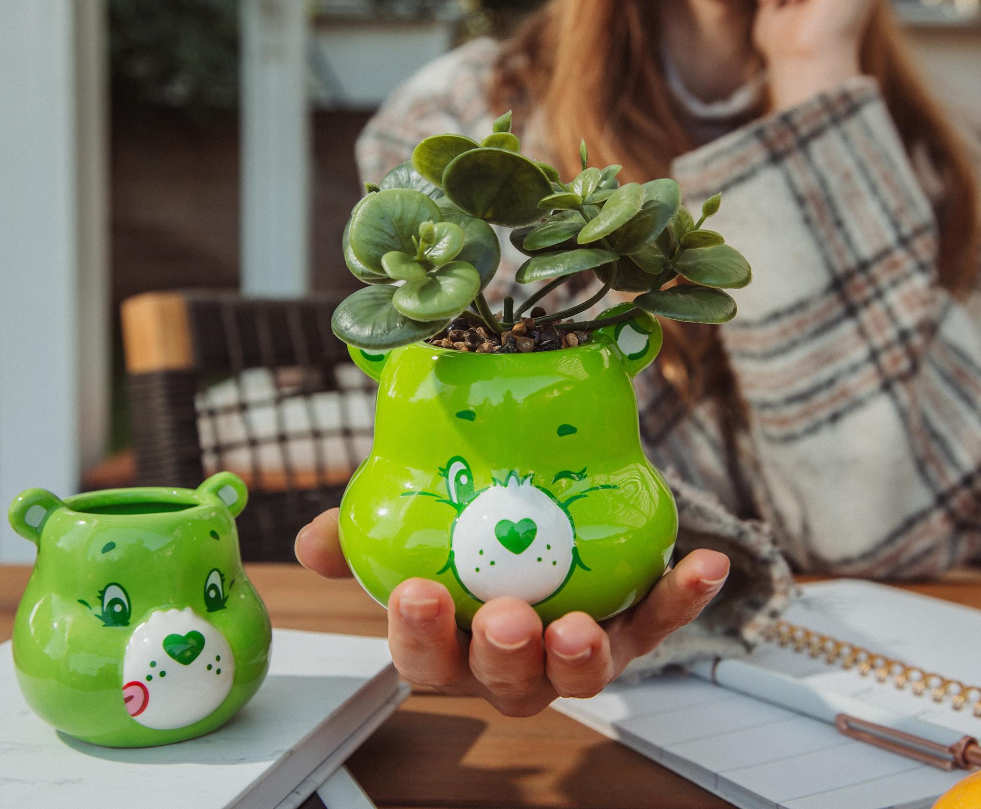 Care Bears Good Luck Bear 5-Inch Ceramic Mini Planter with Artificial Succulent - Bring Good Luck and Style