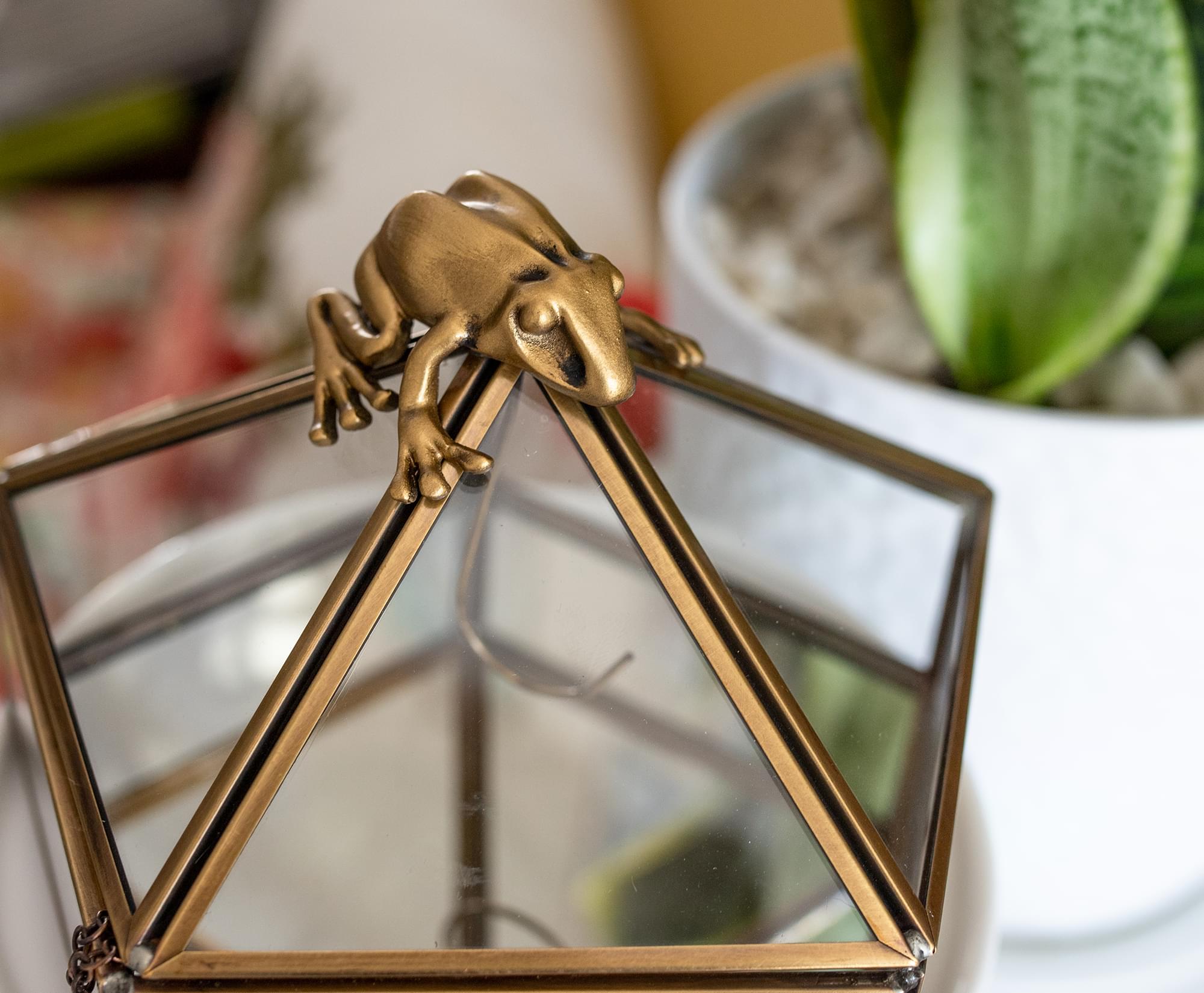 Harry Potter Gold Chocolate Frog Jewelry Organizer