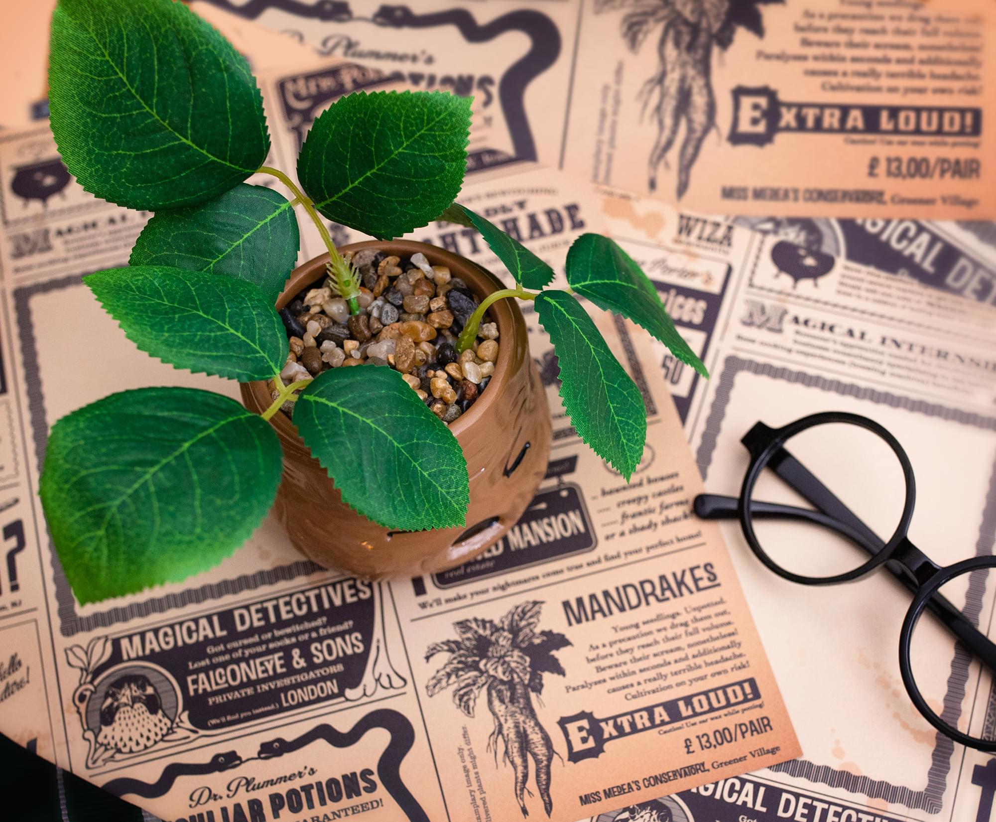 Harry Potter Mandrake 6-Inch Ceramic Planter with Artificial Succulent - A Must-Have for Potterheads