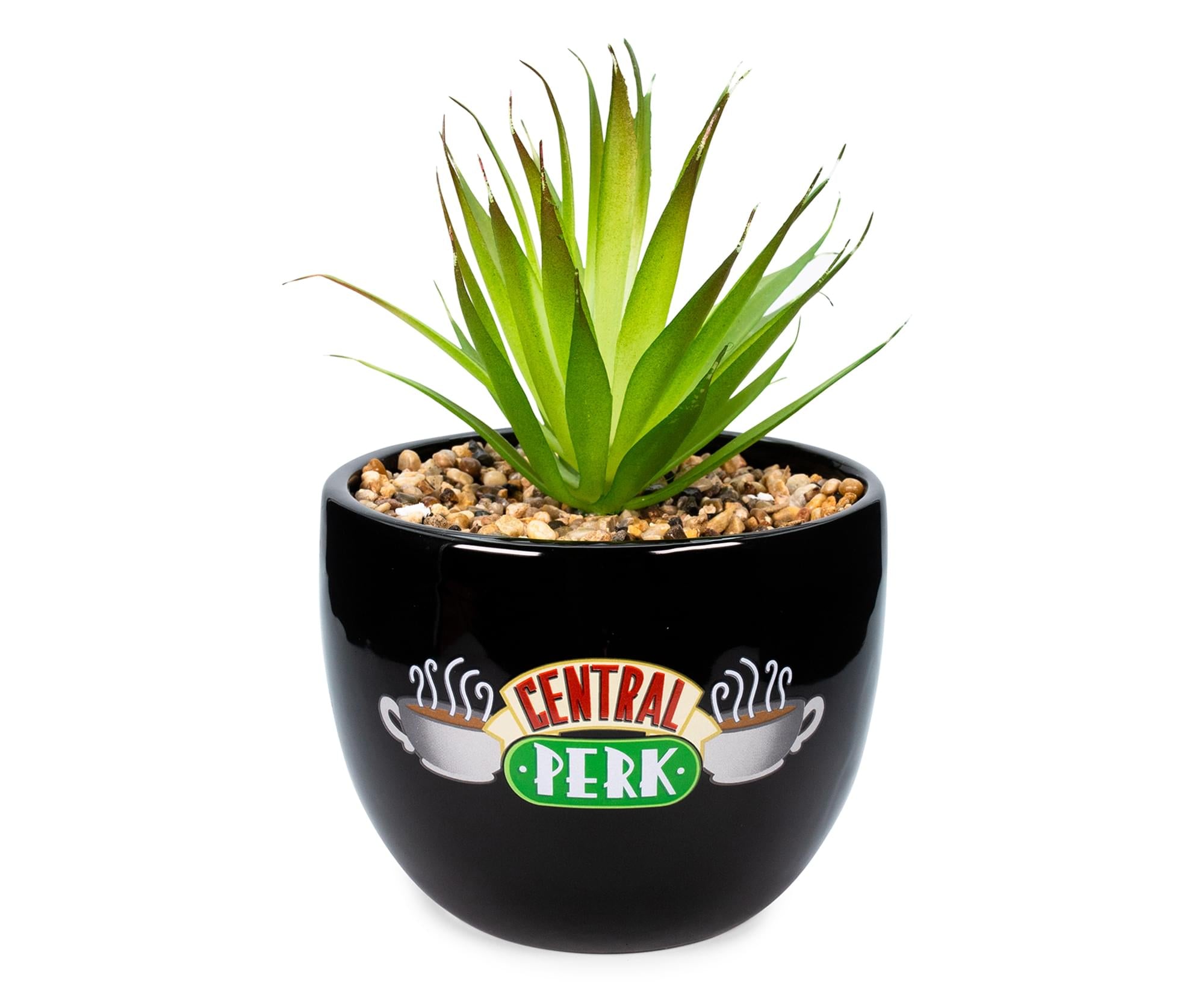 Friends Central Perk Large Ceramic Planter - A Must-Have for Fans!