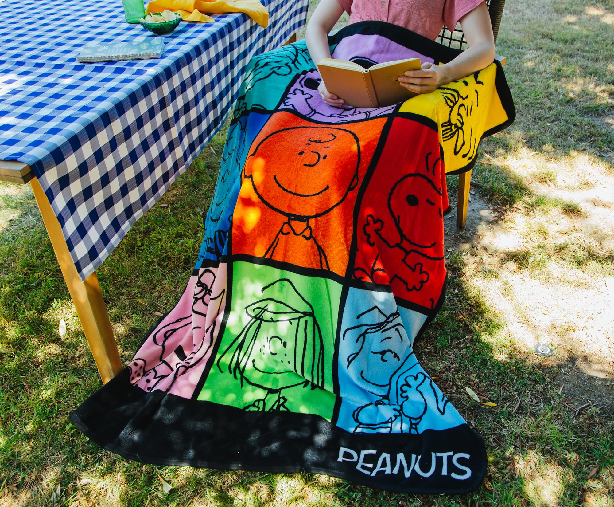 Charming Peanuts Multicolor Character Grid Fleece Throw - 45 x 60 Inches