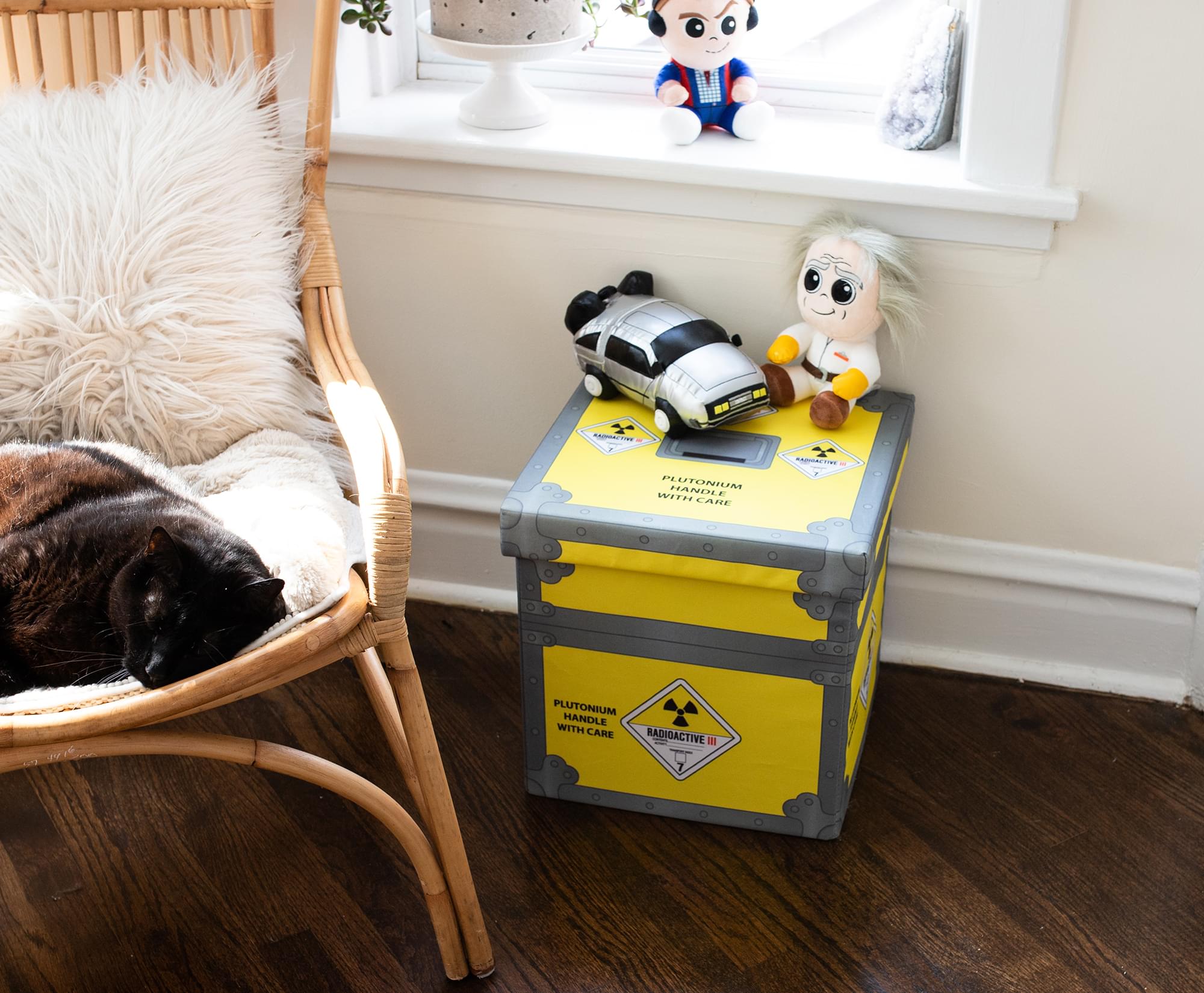 Back to the Future Plutonium Storage Cube Organizer with Lid - 15 Inches