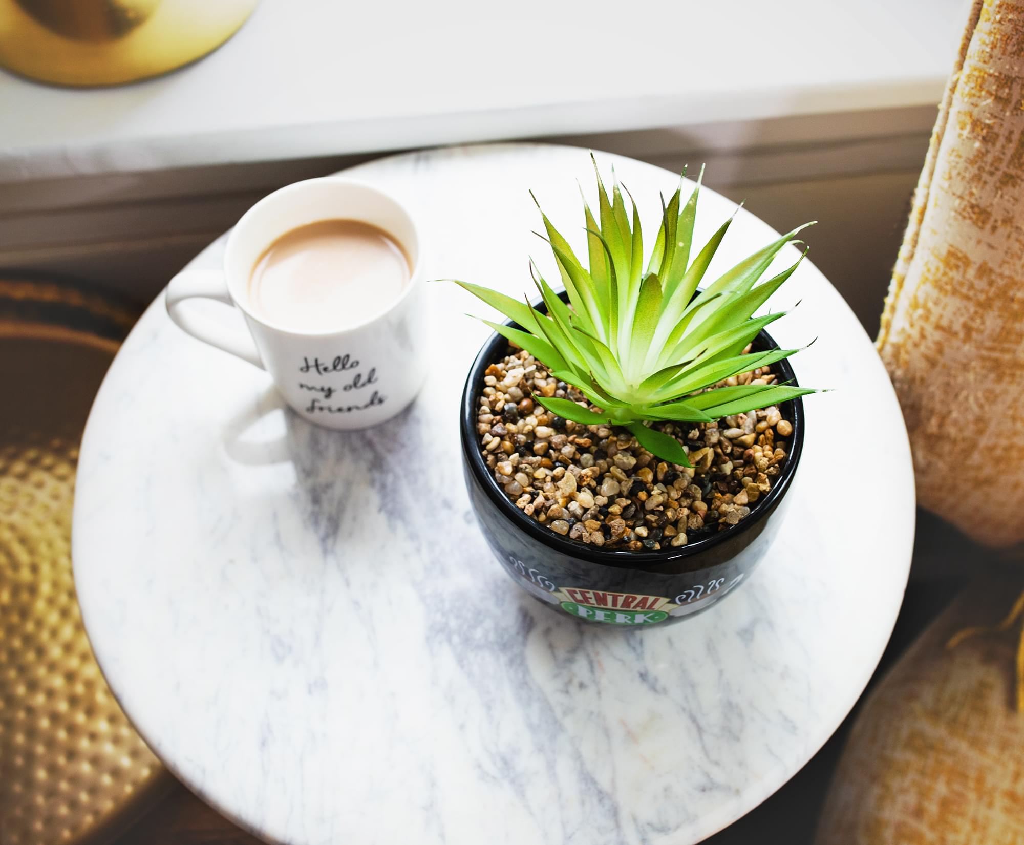 Friends Central Perk Large Ceramic Planter - A Must-Have for Fans!