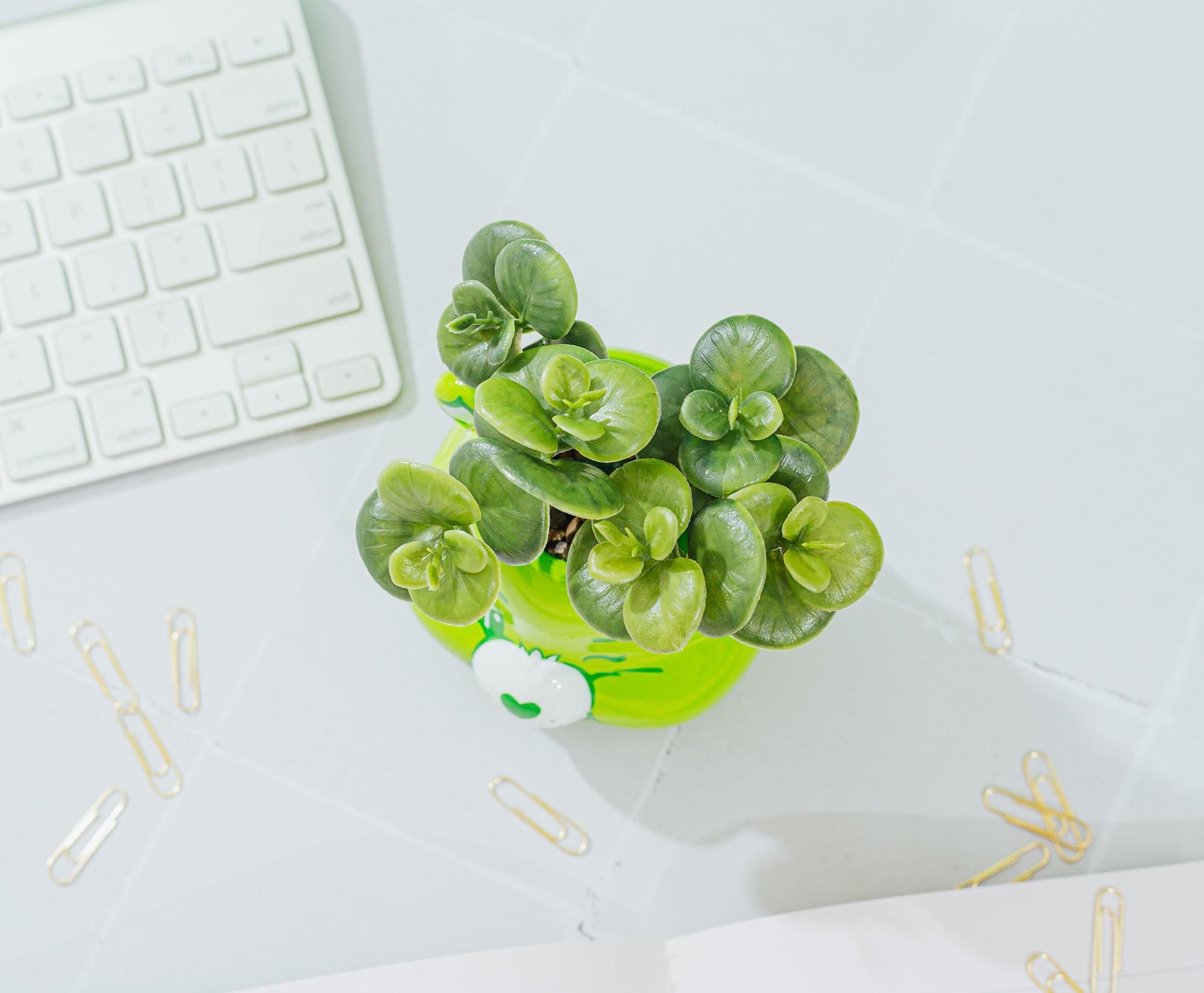 Care Bears Good Luck Bear 5-Inch Ceramic Mini Planter with Artificial Succulent - Bring Good Luck and Style