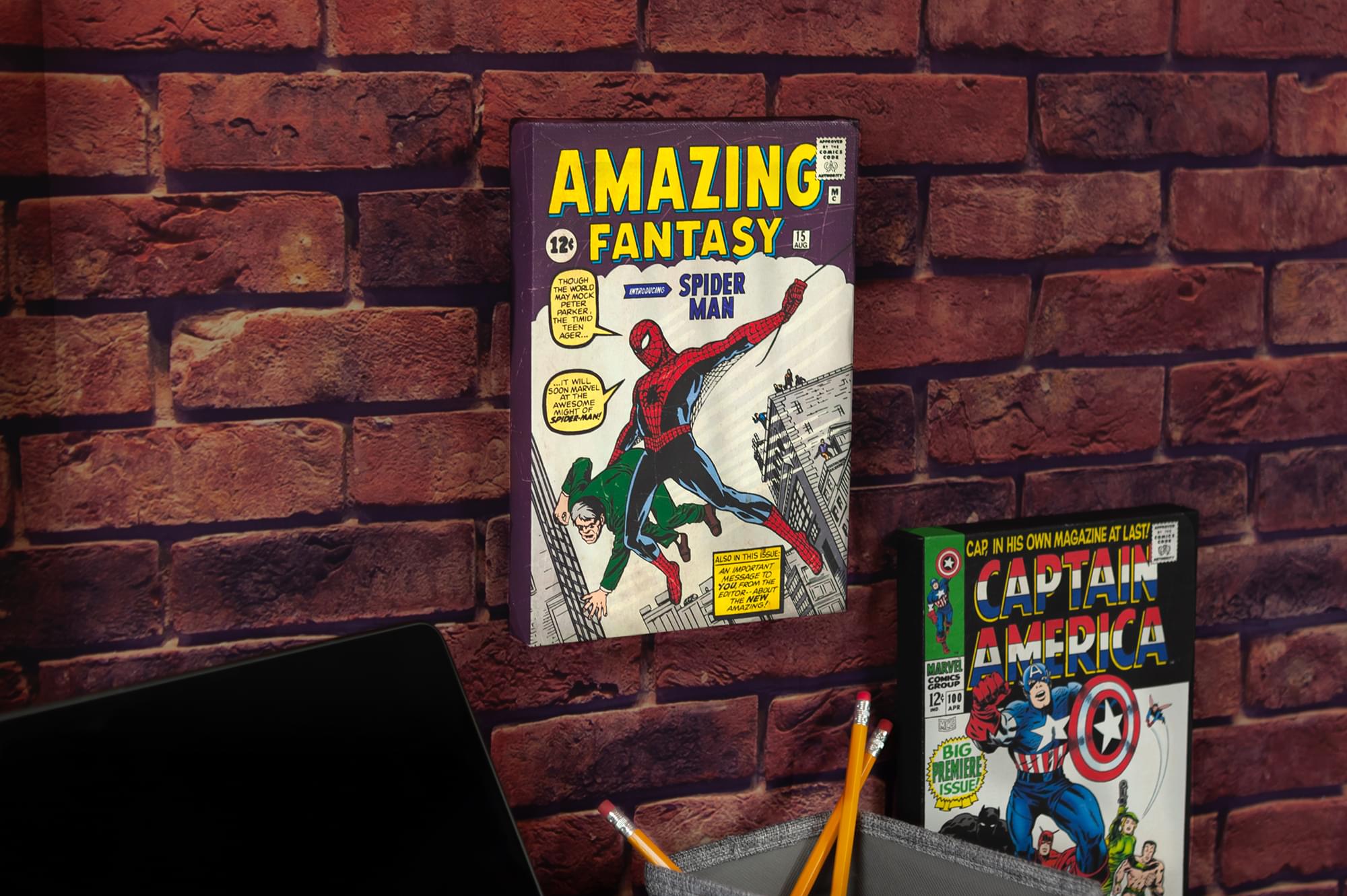 Marvel Comics Spider-Man's Debut: Amazing Fantasy #15 9x5-Inch Comic Book Canvas