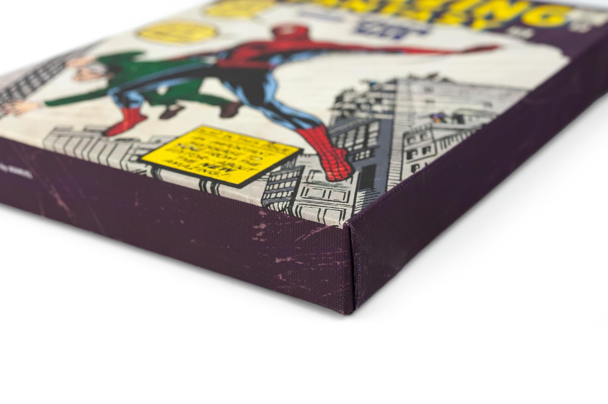 Marvel Comics Spider-Man's Debut: Amazing Fantasy #15 9x5-Inch Comic Book Canvas