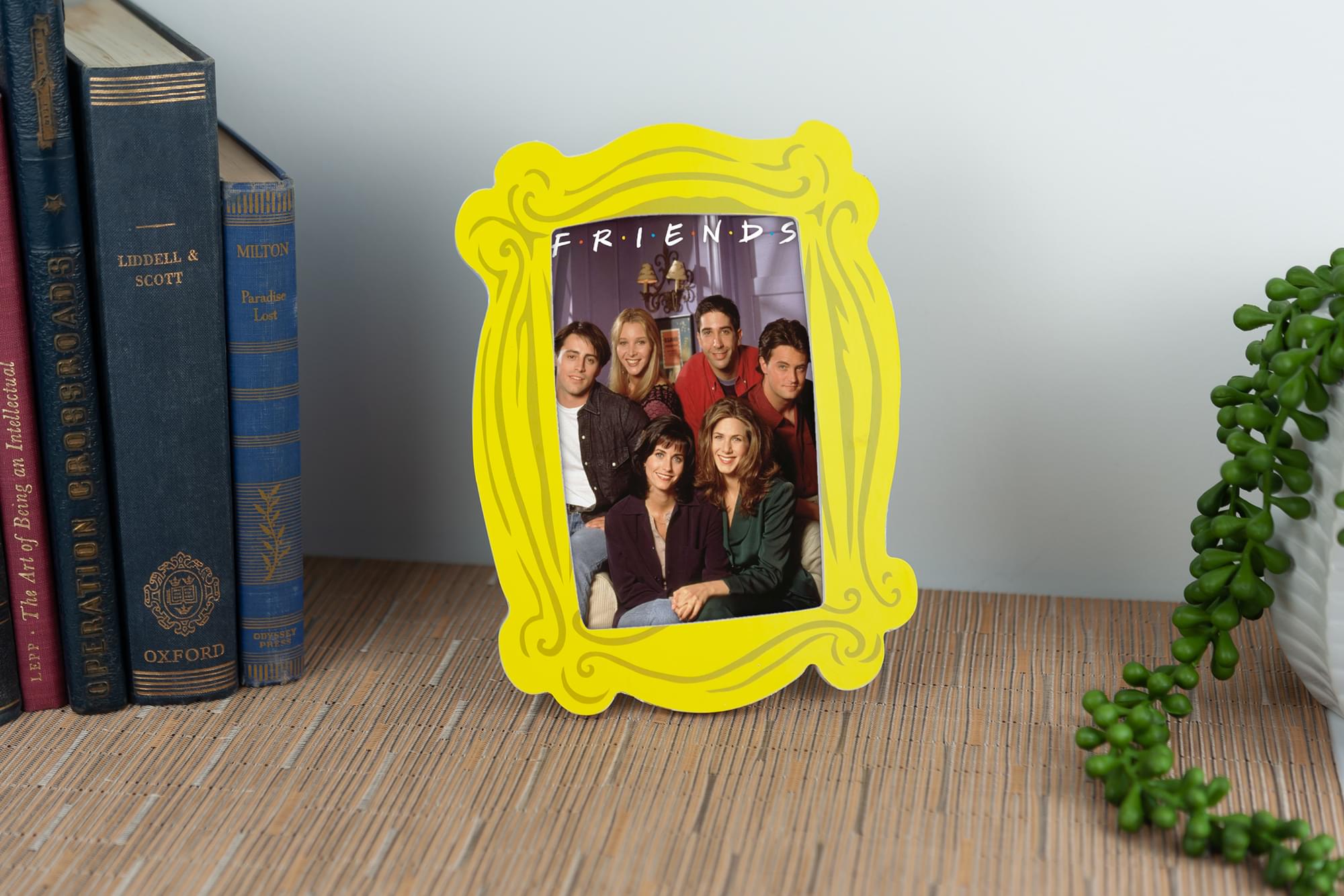 Friends TV Show 4x6 Picture Frame - Celebrate Your Friendship!