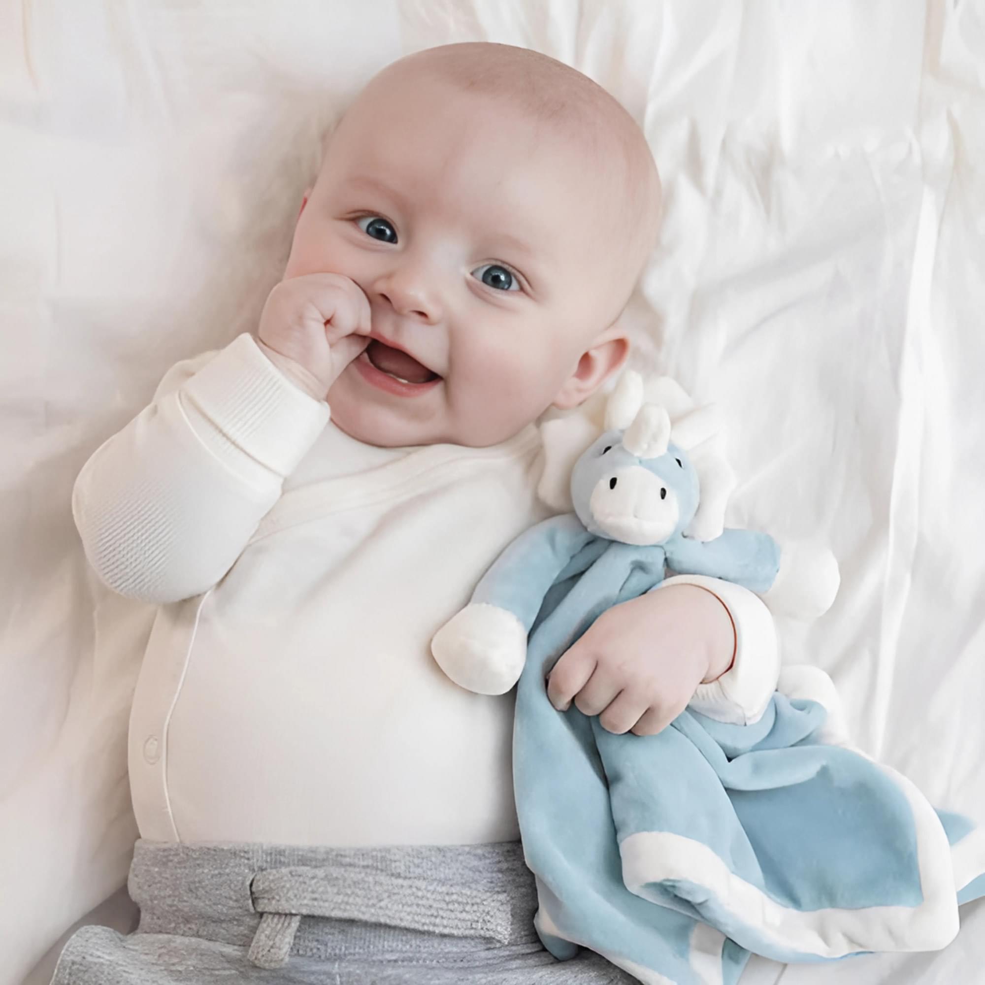 Cozy Blue Dino Teddy Plush Baby Blanket