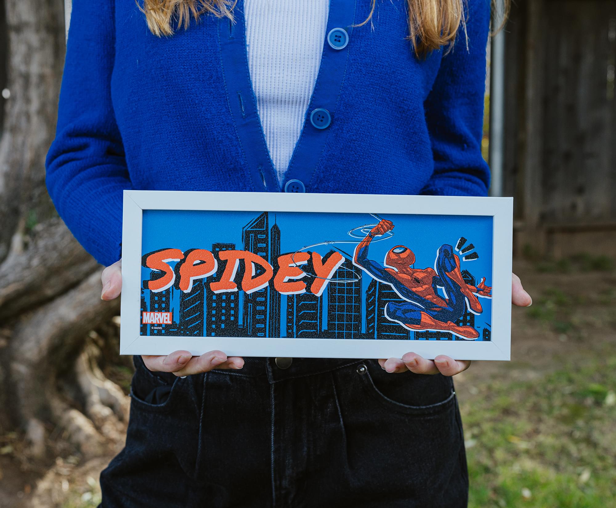 Epic Marvel Spider-Man 12 x 5 Inch Framed MDF Wall Art