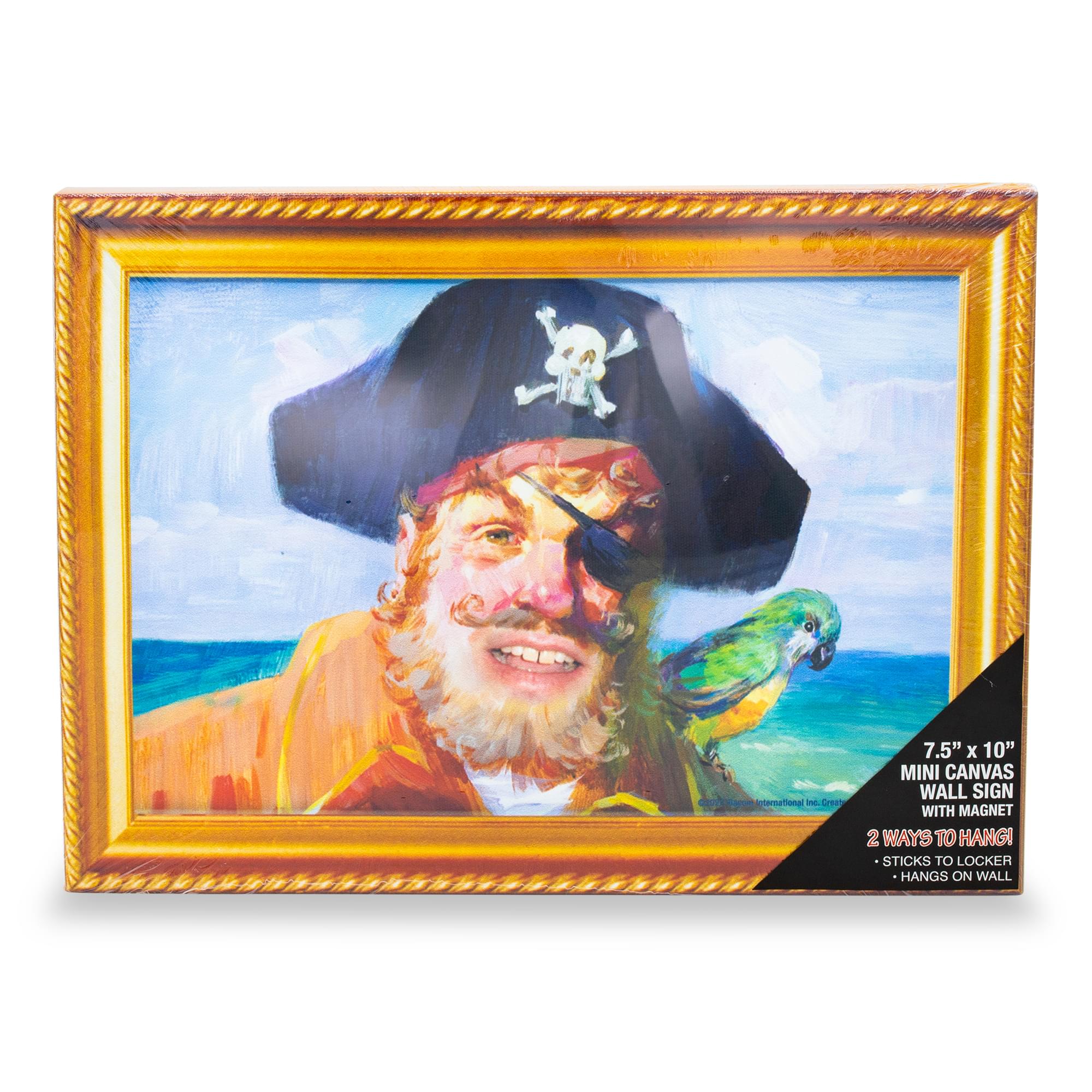 Captain Painty the Pirate SpongeBob SquarePants Wall Art - Dive into Adventure!