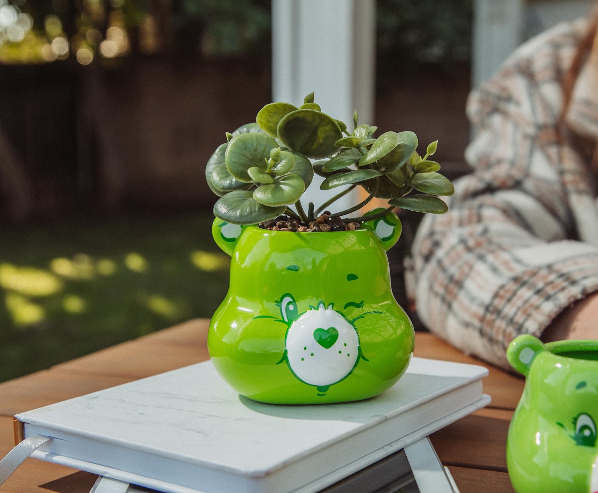 Care Bears Good Luck Bear 5-Inch Ceramic Mini Planter with Artificial Succulent - Bring Good Luck and Style