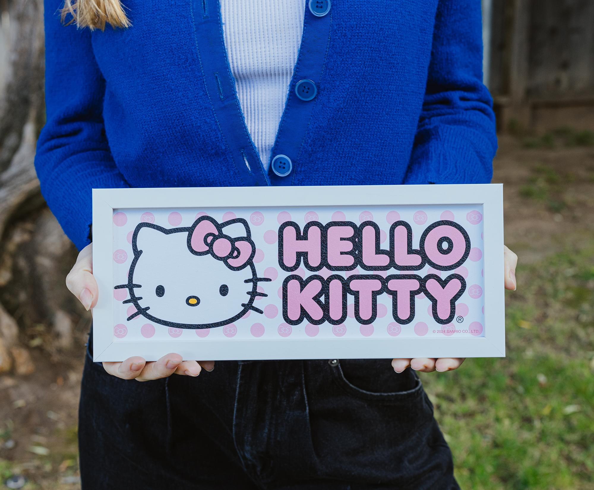 Adorable Sanrio Hello Kitty Pink 12 x 5 Inch Framed MDF Wall Art