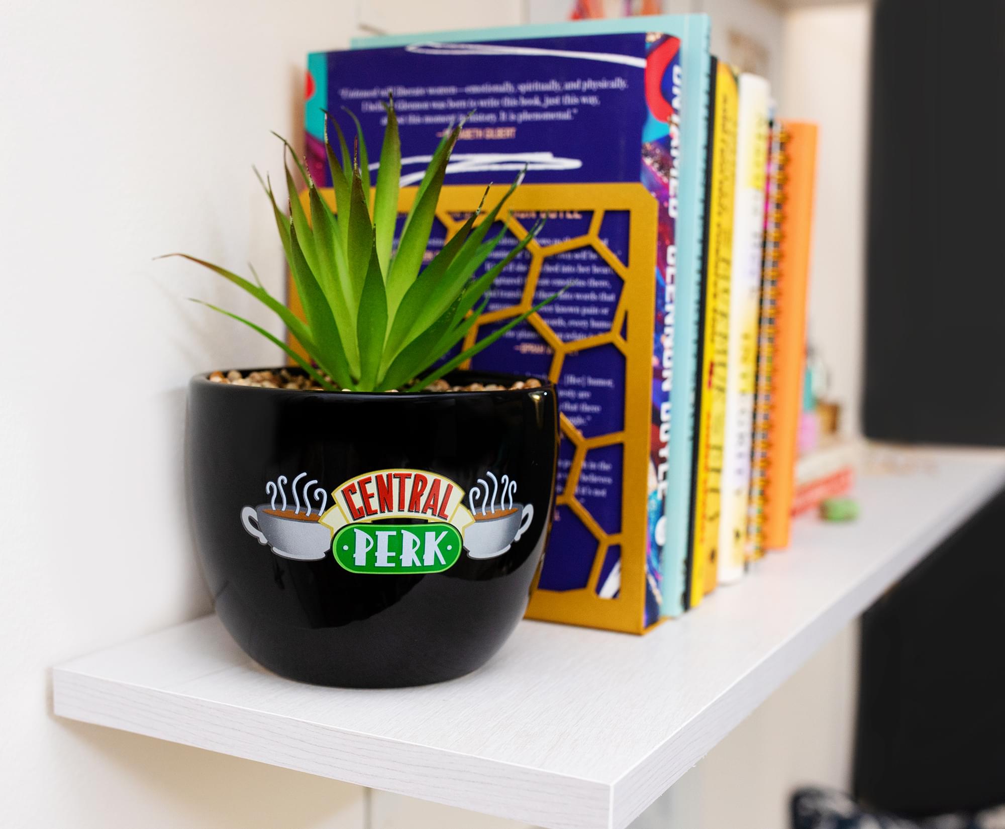 Friends Central Perk Large Ceramic Planter - A Must-Have for Fans!