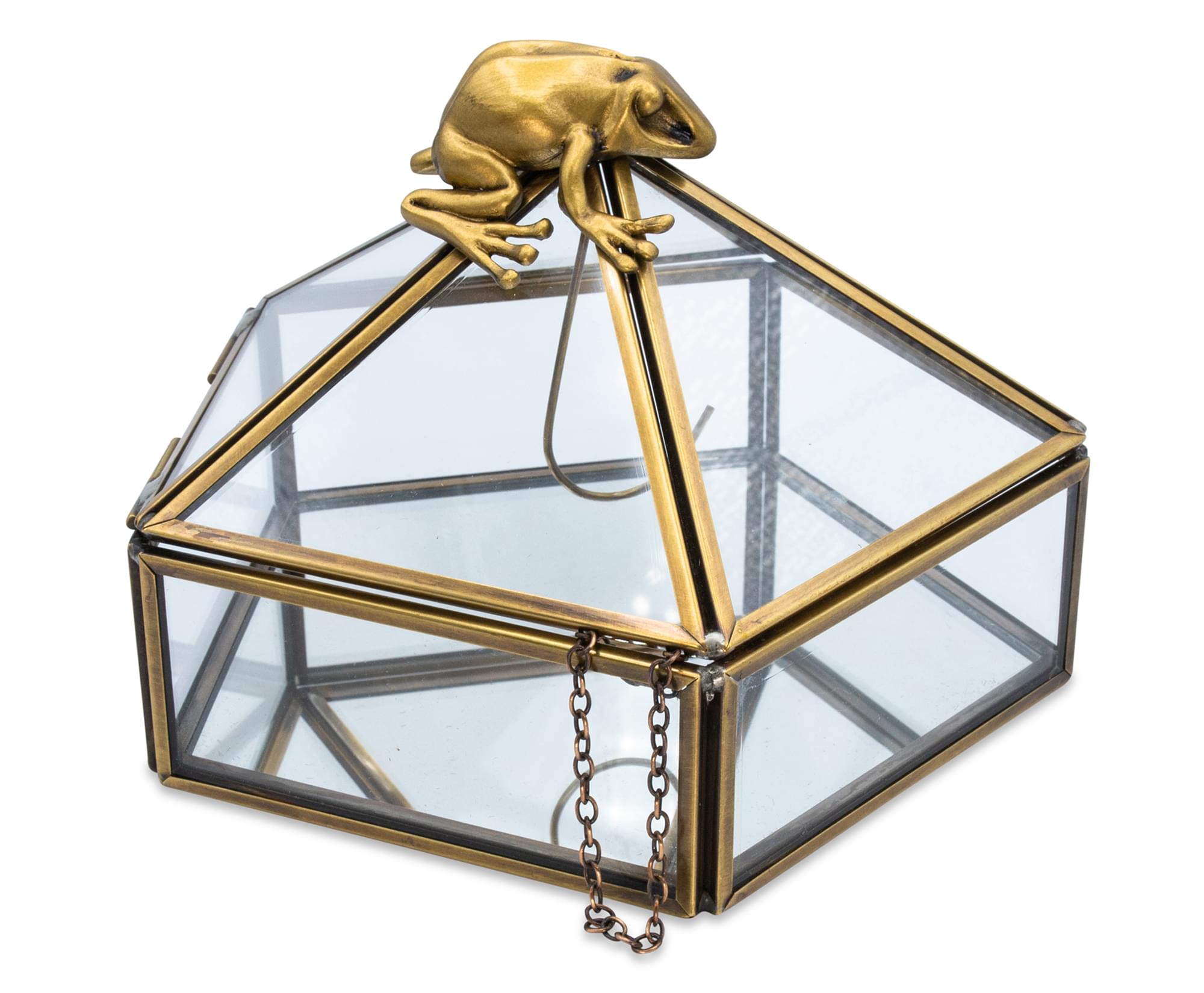 Harry Potter Gold Chocolate Frog Jewelry Organizer