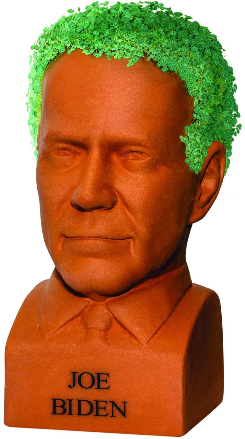 Unique Joe Biden Chia Pet Decorative Planter