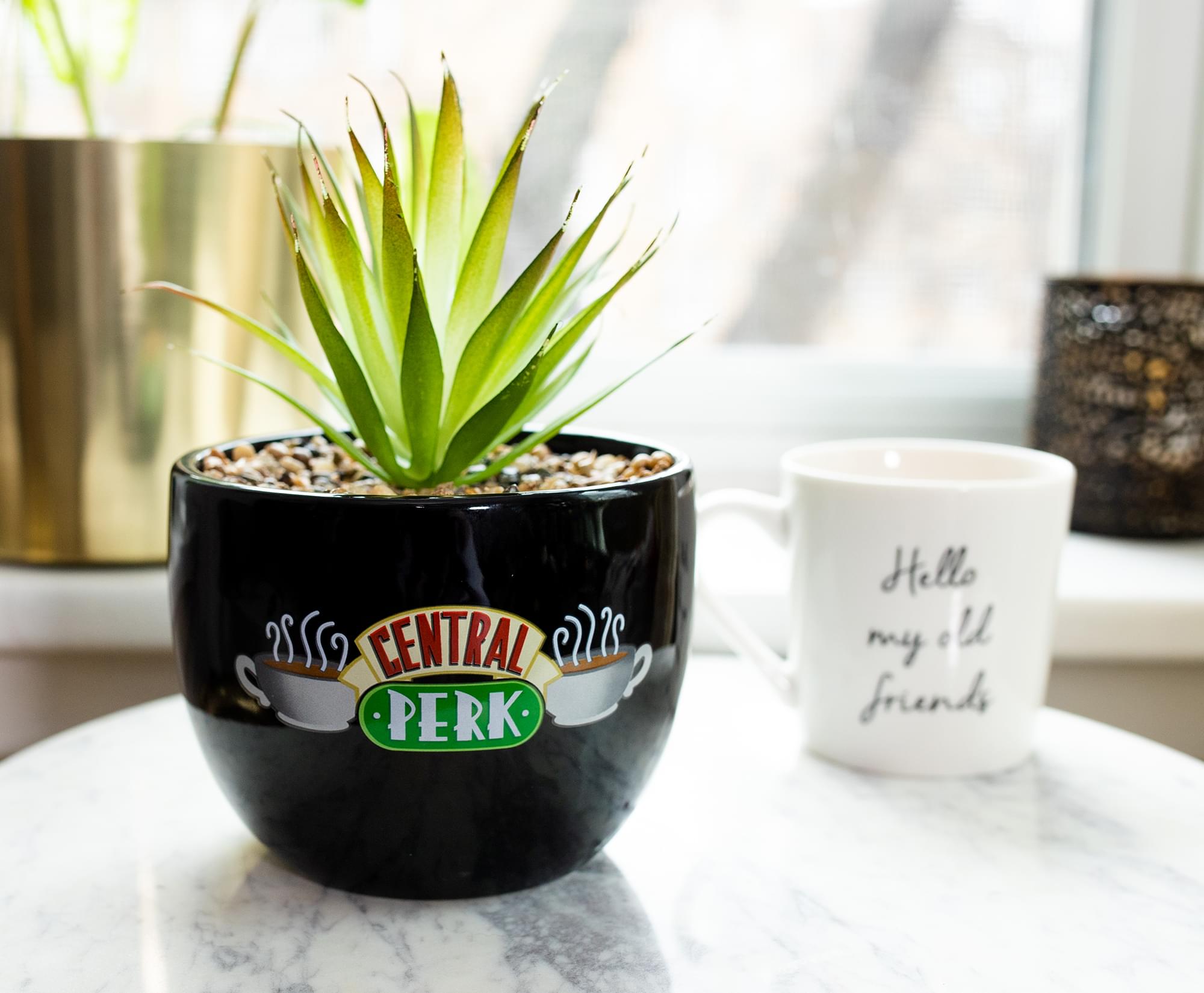 Friends Central Perk Large Ceramic Planter - A Must-Have for Fans!