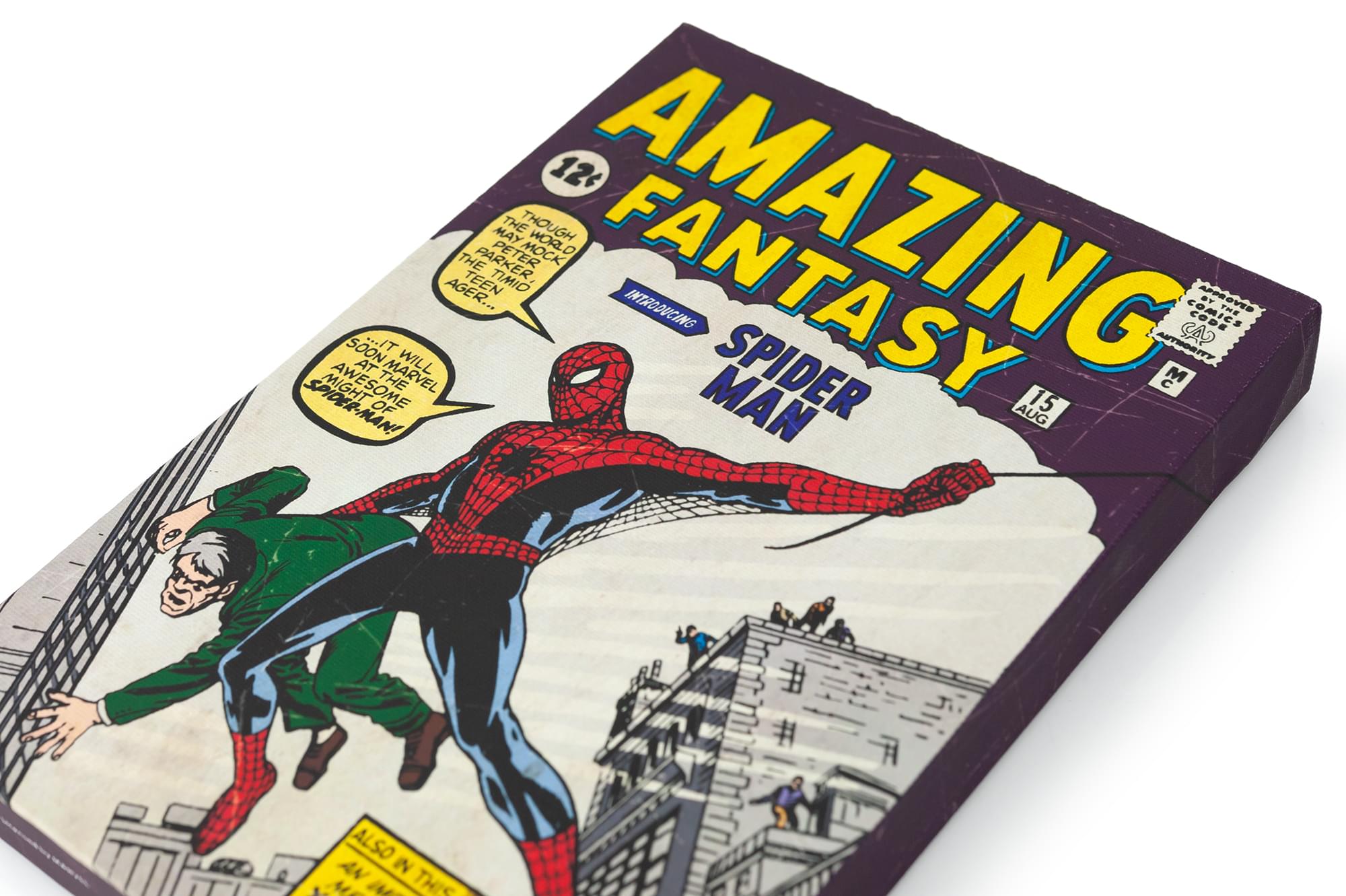 Marvel Comics Spider-Man's Debut: Amazing Fantasy #15 9x5-Inch Comic Book Canvas