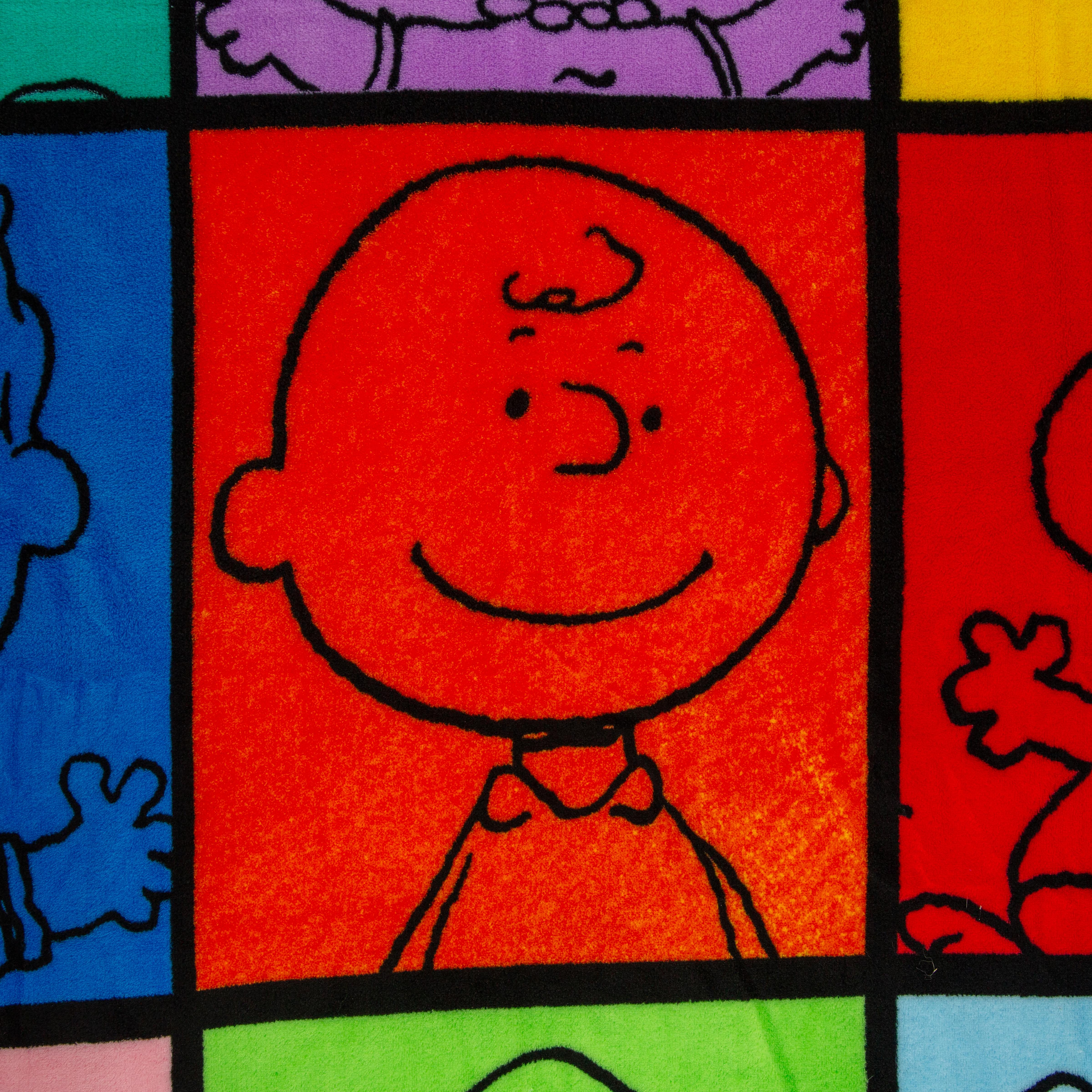Charming Peanuts Multicolor Character Grid Fleece Throw - 45 x 60 Inches