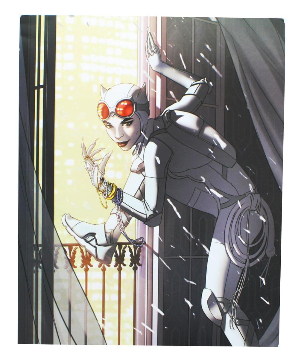 Exclusive Catwoman Art Print by W. Scott Forbes for Nerd Block Fans
