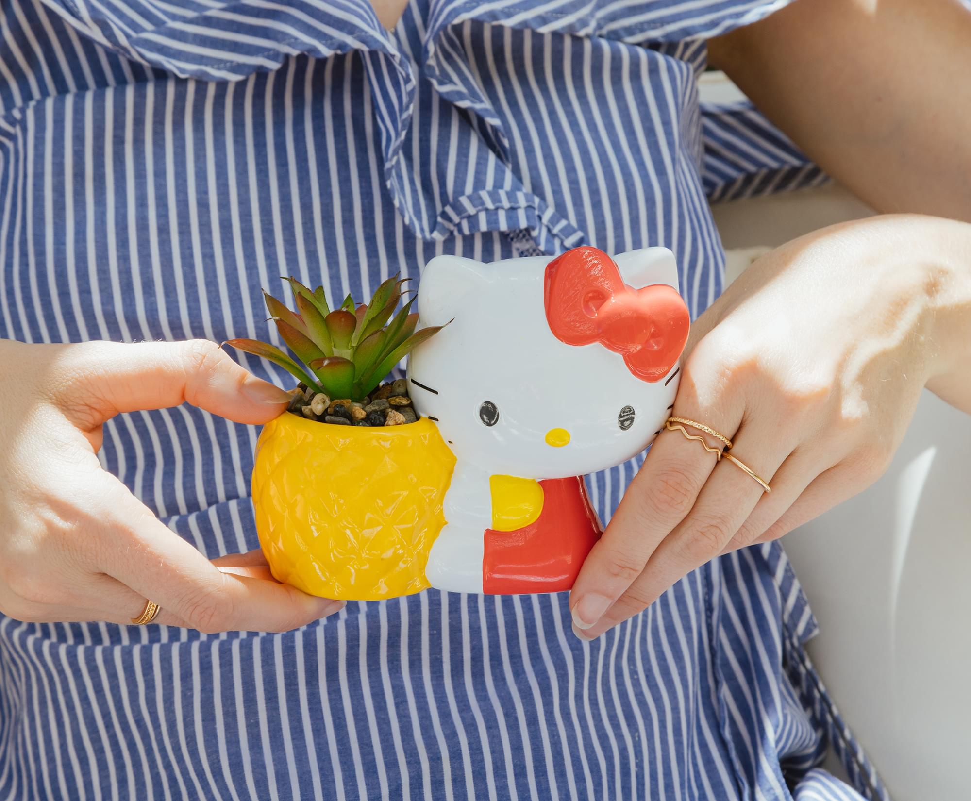 Sanrio Hello Kitty Pineapple Ceramic Mini Planter with Artificial Succulent - Adorable Home Decor