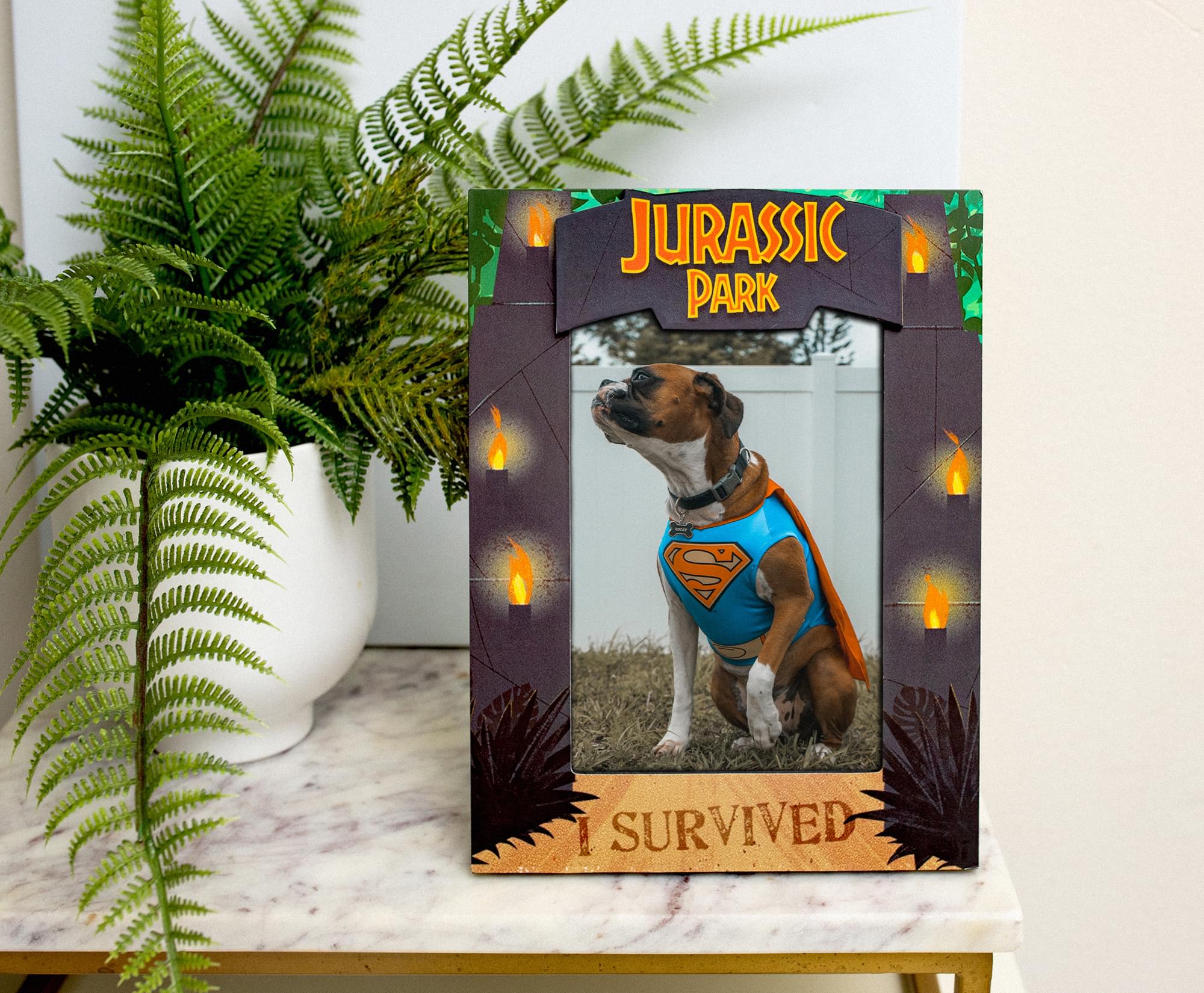 Jurassic Park I Survived Die-Cut Photo Frame - 4 x 6 Inch Photos