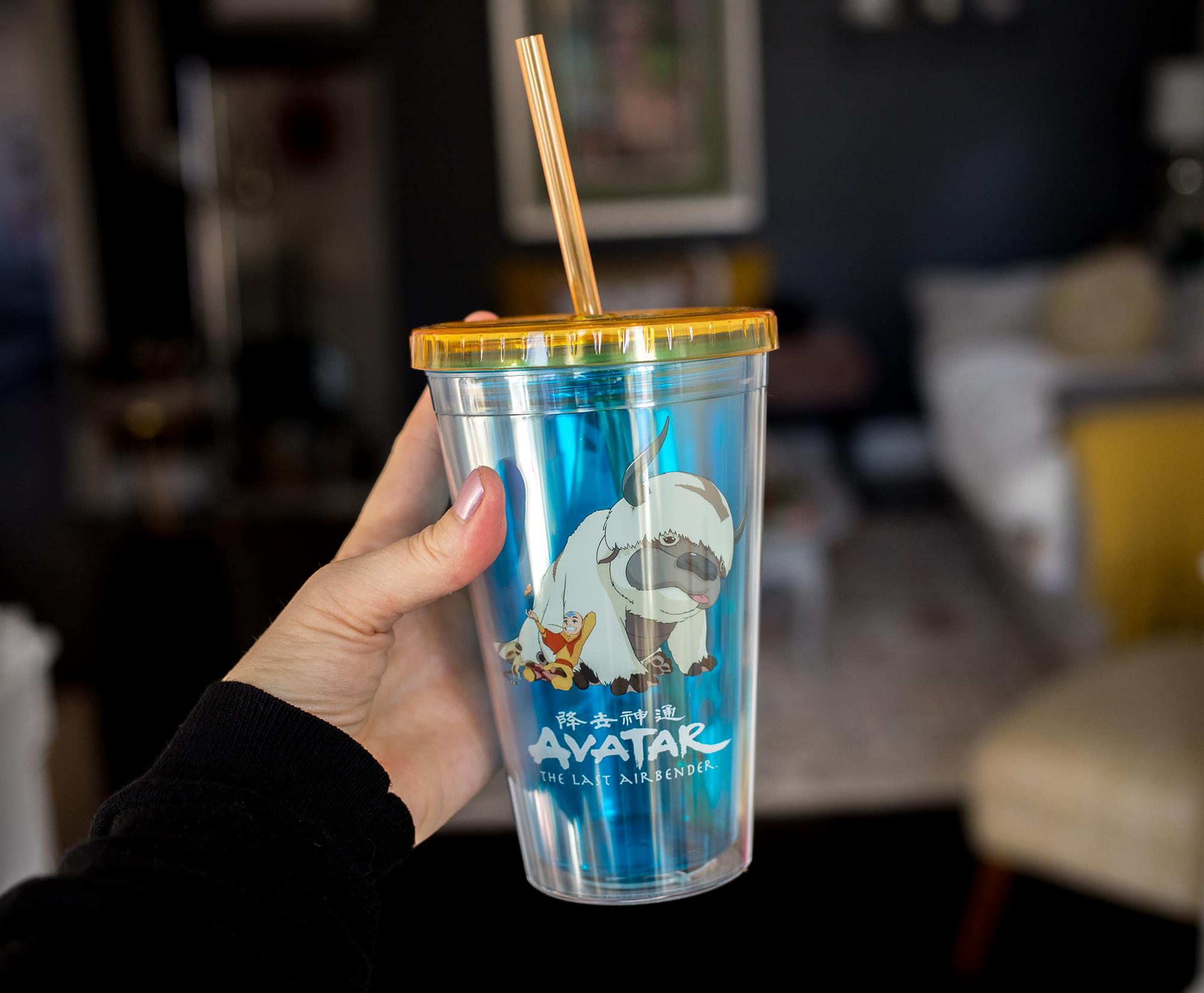 Avatar: The Last Airbender Aang & Appa 16-Ounce Carnival Cup with Straw