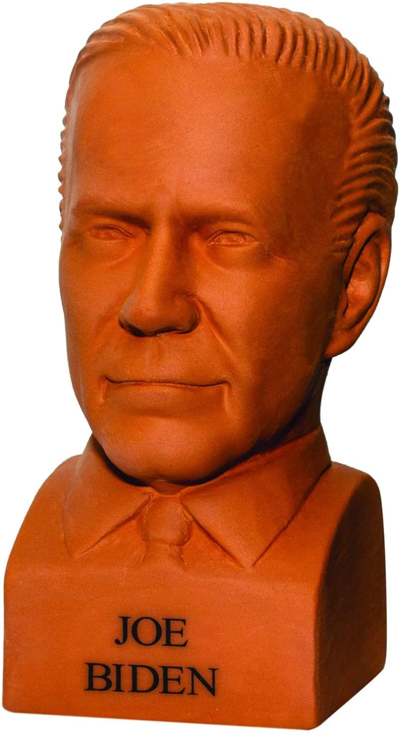 Unique Joe Biden Chia Pet Decorative Planter