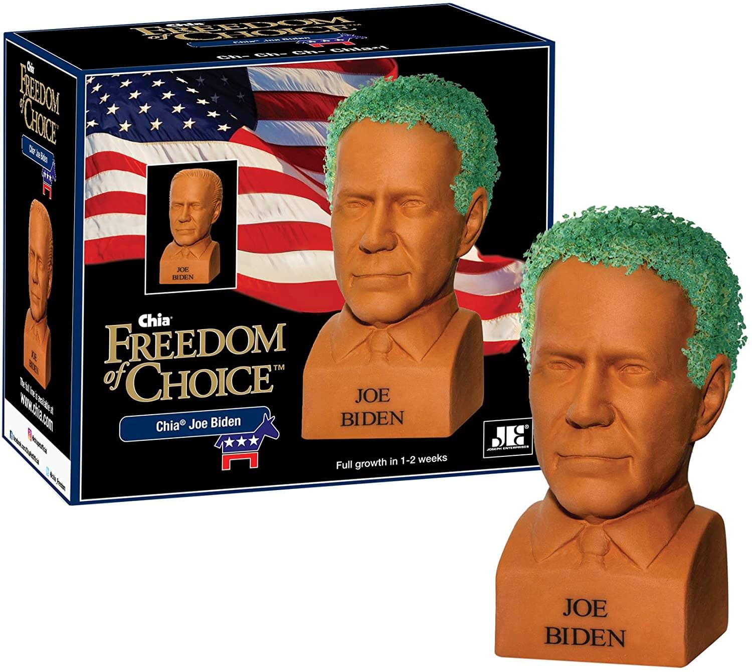 Unique Joe Biden Chia Pet Decorative Planter