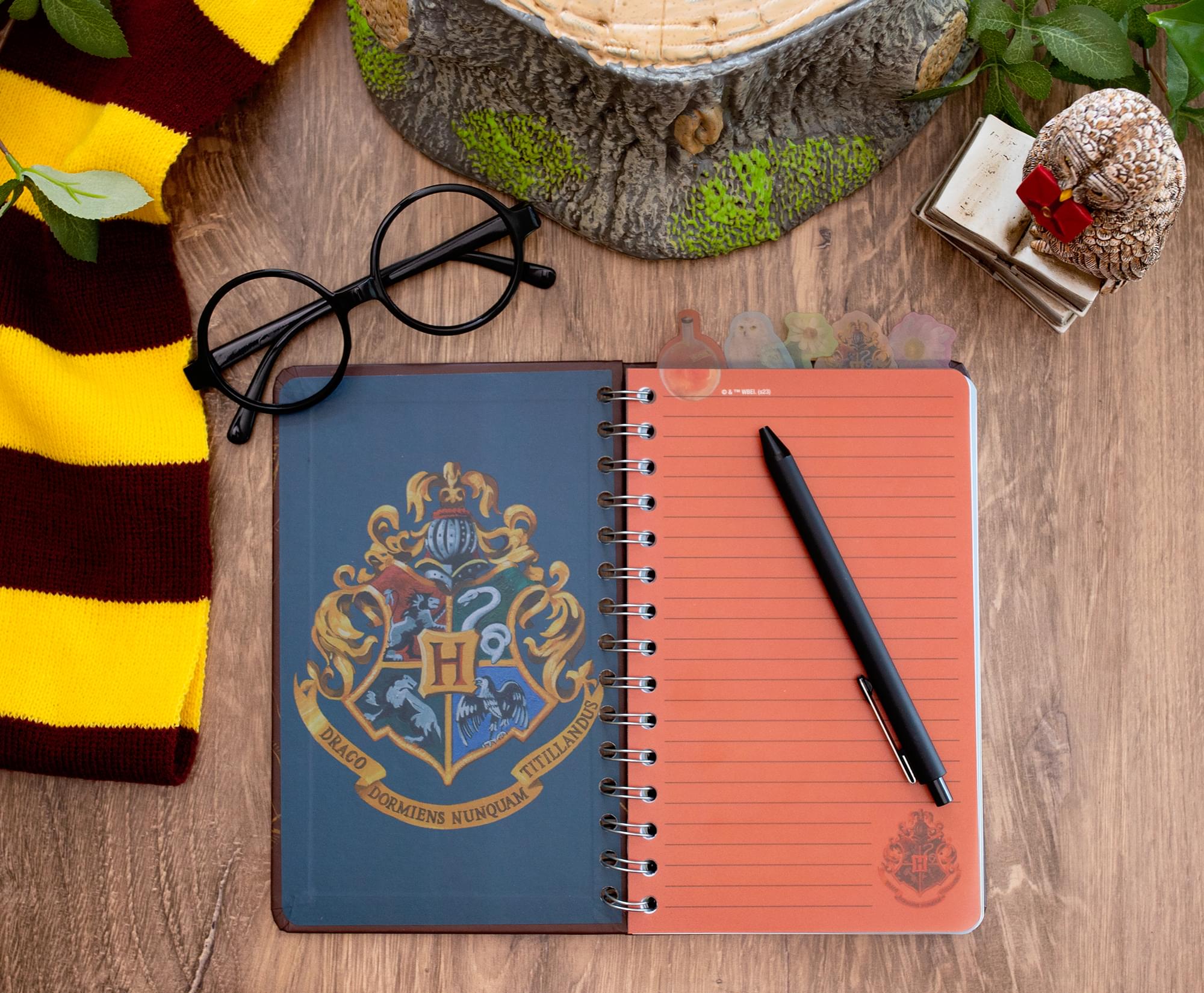 Harry Potter Hogwarts 75 - Page 8 x 5 Inches Spiral Notebook