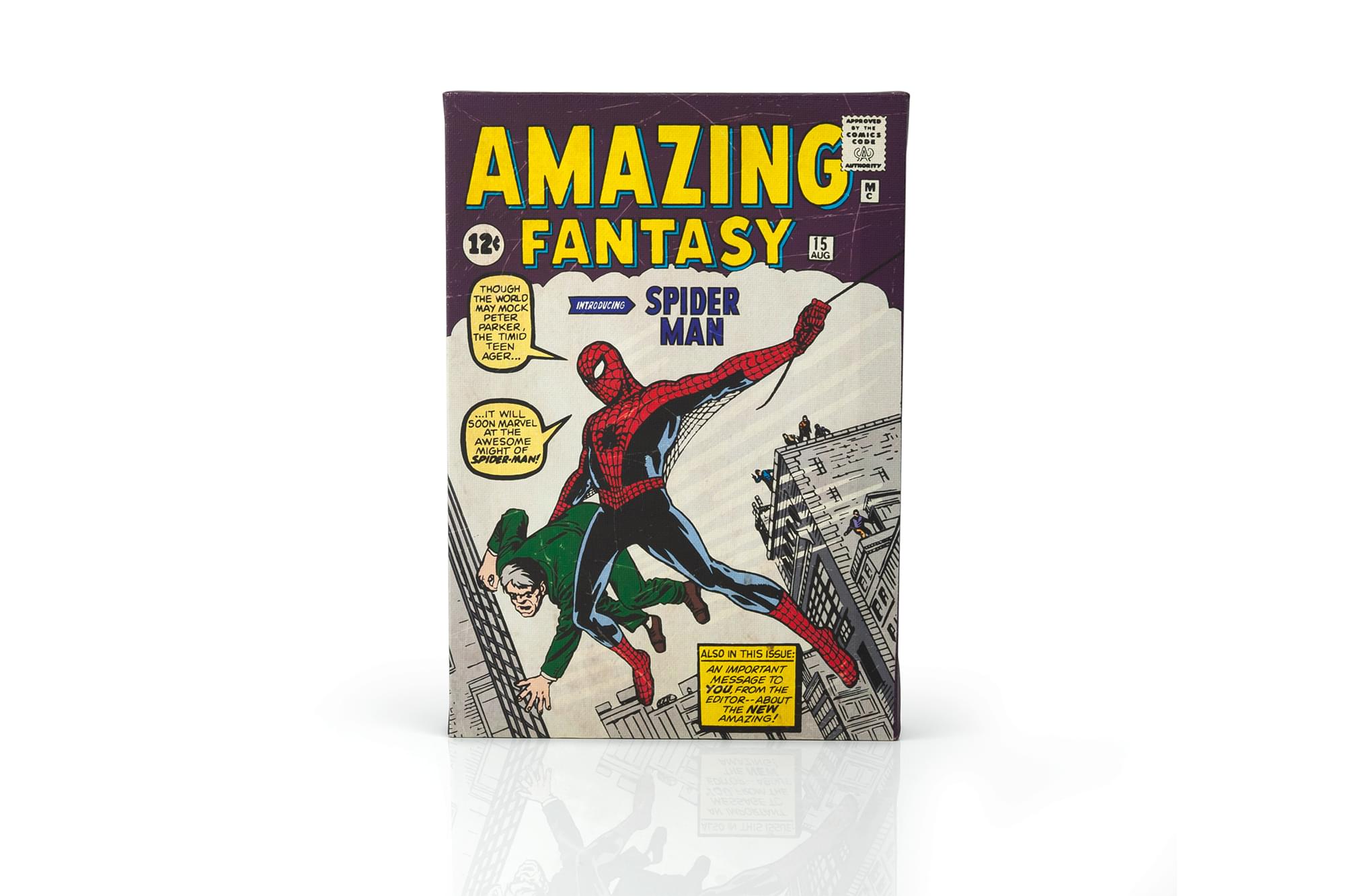 Marvel Comics Spider-Man's Debut: Amazing Fantasy #15 9x5-Inch Comic Book Canvas