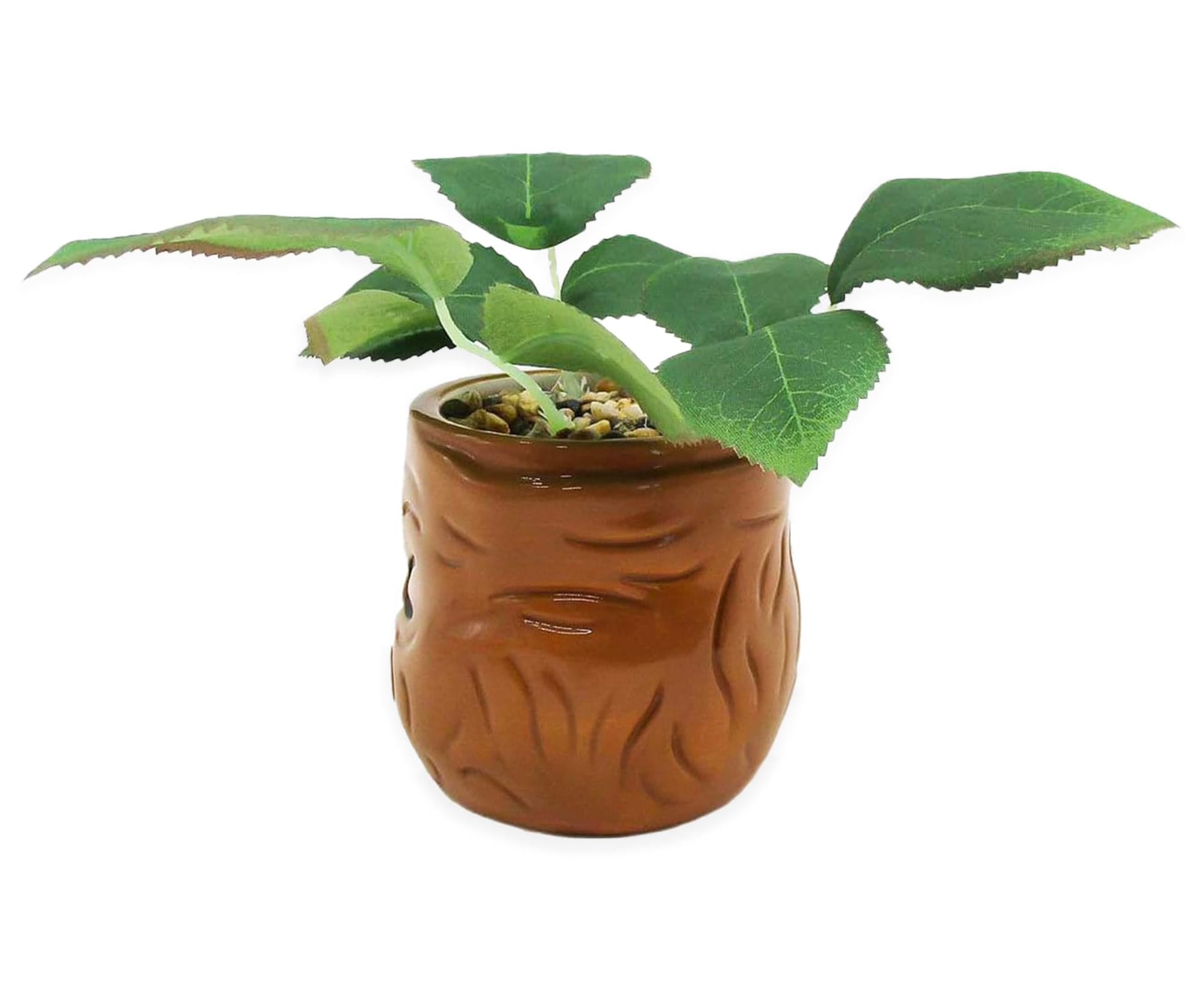 Harry Potter Mandrake 6-Inch Ceramic Planter with Artificial Succulent - A Must-Have for Potterheads
