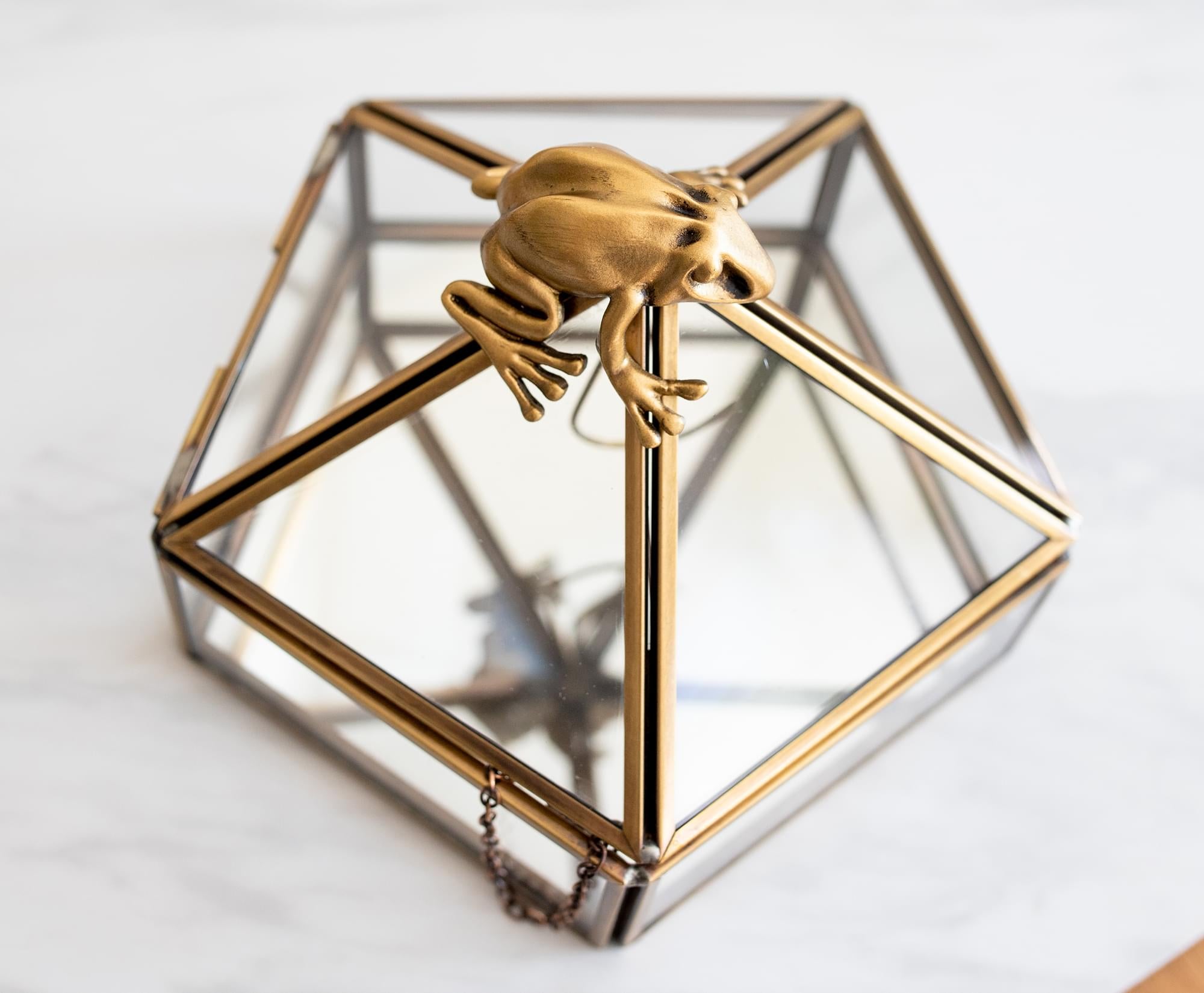 Harry Potter Gold Chocolate Frog Jewelry Organizer